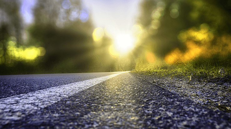 Black paved road leading to trees