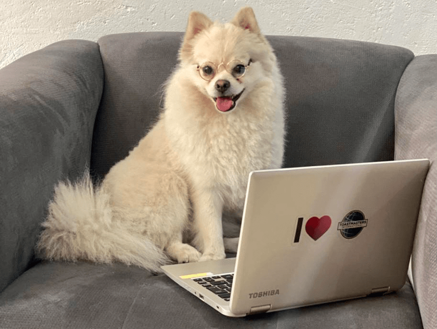 Luis Enrique Gomez Medina’s dog, Bruna, of Xalapa, Mexico.